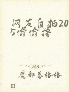 网友自拍2015偷偷撸