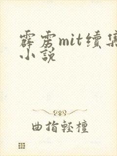 霹雳mit续集小说