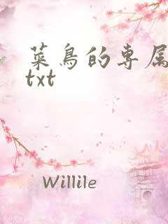 菜鸟的专属大神txt