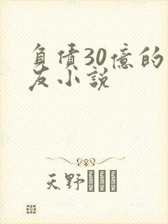 负债30亿的男友小说