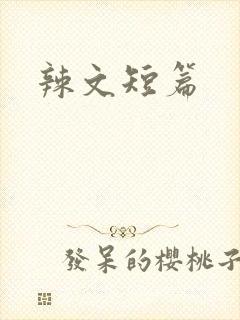 辣文短篇