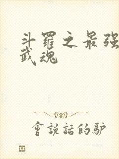 斗罗之最强治疗武魂