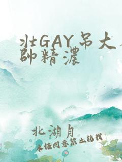壮GAY吊大人帅精浓