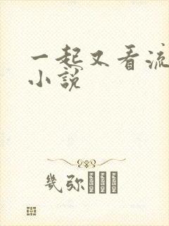 一起又看流星雨小说