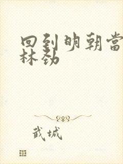 回到明朝当王爷林劲