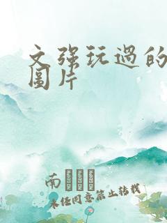 文强玩过的女人图片