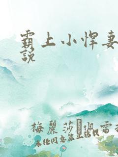霸上小悍妻 小说