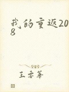 我的重返2008