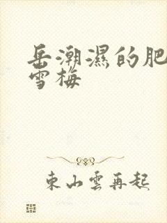 岳潮湿的肥厚李雪梅