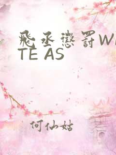 飞丞惩罚WRITE AS