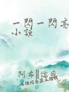 一闪一闪亮星星小说