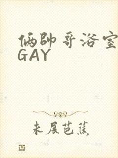 俩帅哥浴室互攻GAY
