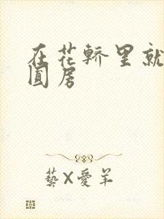 在花轿里就开始圆房