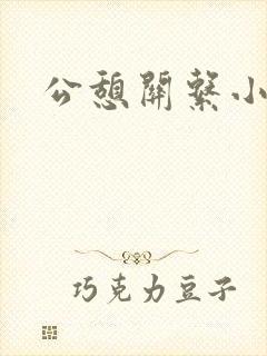 公憩关系小说