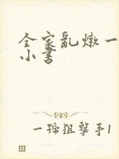 全家乱炖一锅烩小书