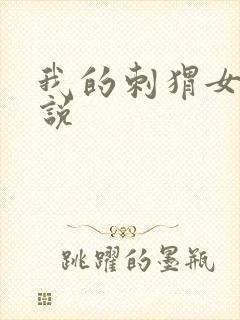 我的刺猬女孩小说