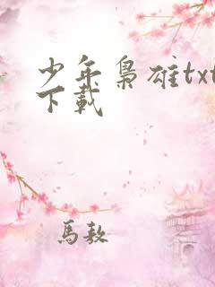 少年枭雄txt下载