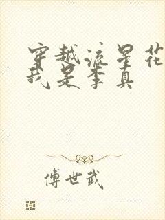 穿越流星花园之我是李真