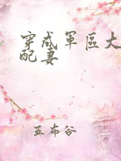 穿成军区大佬女配妻