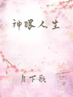 神眼人生