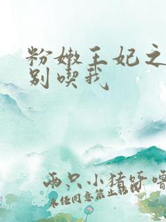 粉嫩王妃之殿下别吃我