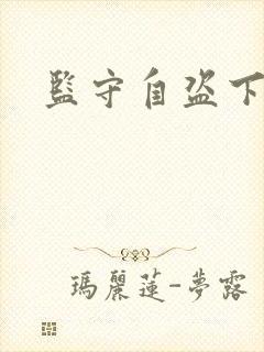 监守自盗下载