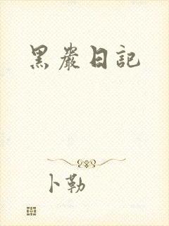 黑岩日记