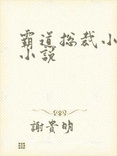 霸道总裁小娇妻小说