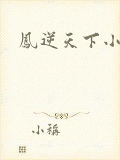 凤逆天下小说