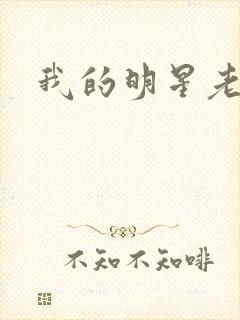 我的明星老豆