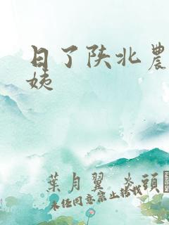 日了陕北农村婆姨