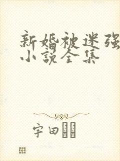 新婚被迷强系列小说全集