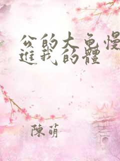 公的大龟慢慢挺进我的体