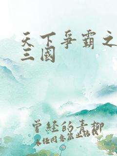 天下争霸之一统三国