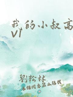 我的小叔高H1V1