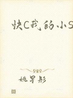 快C我的小SB