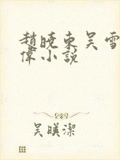 赵晓东吴雪晴郑伟小说