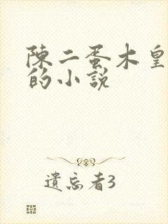 陈二蛋木皇真经的小说