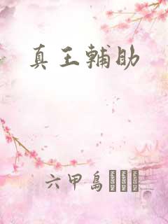 真王辅助