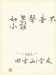 如果声音不记得小说