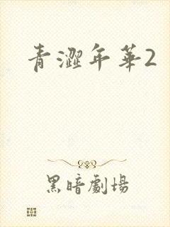 青涩年华2