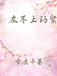 左耳上的紫水晶