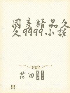 国产精品久久久久9999小说