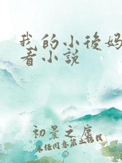 我的小后妈免费看小说