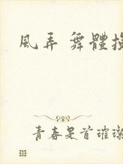 风弄 舞体投递