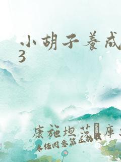 小胡子养成计划3