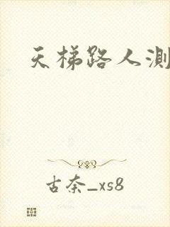 天梯路人测试器