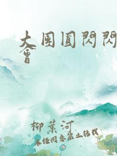 大团圆闪闪相亲会