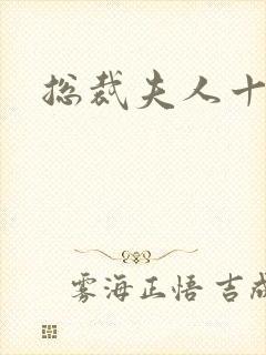 总裁夫人十八岁