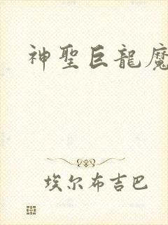 神圣巨龙魔法师